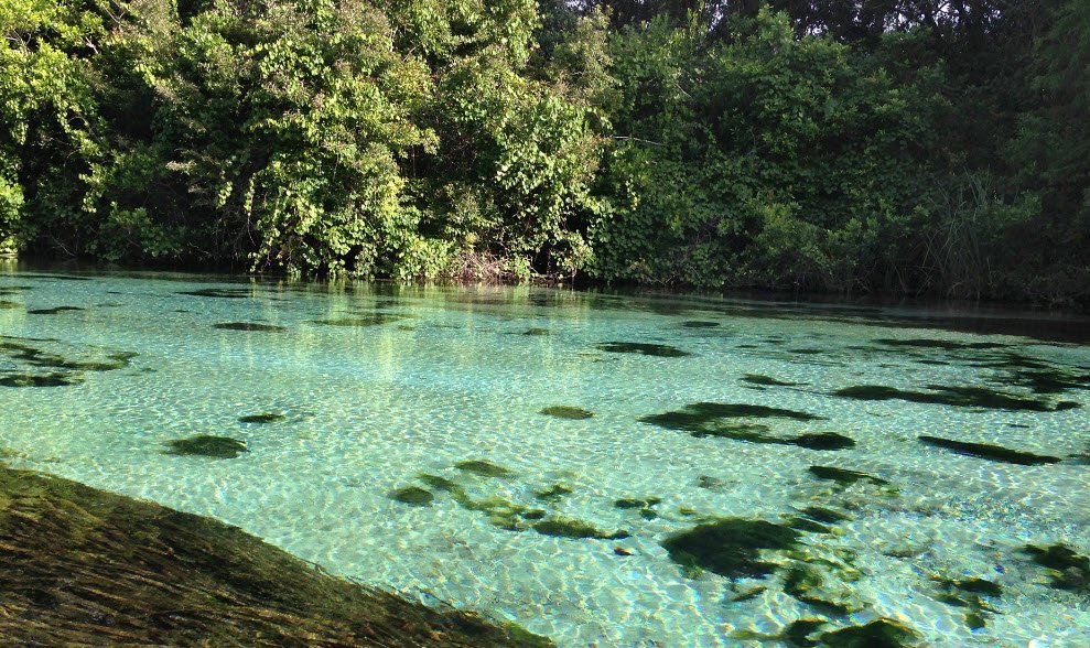 Weeki Wachee Spring, United States